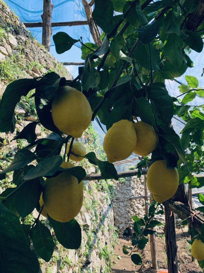 Вілла Il Giardino Dorato Майорі Екстер'єр фото
