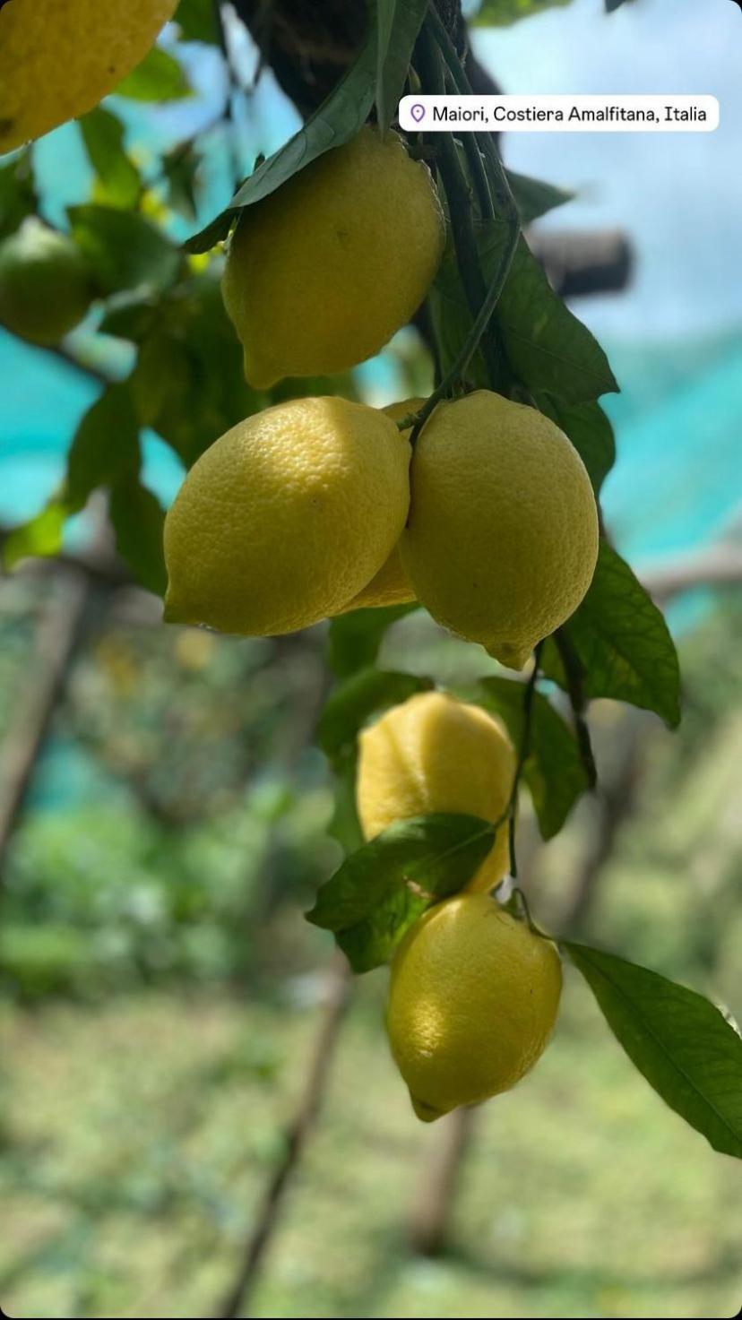 Вілла Il Giardino Dorato Майорі Екстер'єр фото